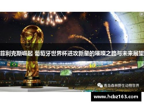 菲利克斯崛起 葡萄牙世界杯进攻新星的璀璨之路与未来展望