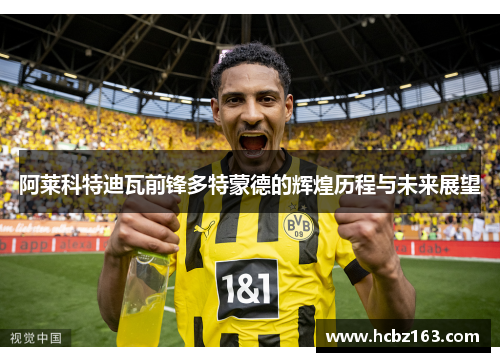阿莱科特迪瓦前锋多特蒙德的辉煌历程与未来展望