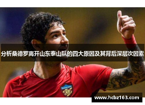 分析桑德罗离开山东泰山队的四大原因及其背后深层次因素