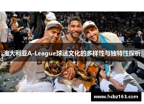 澳大利亚A-League球迷文化的多样性与独特性探析